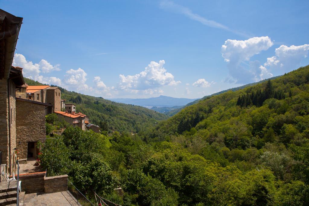 Il Borgo Dei Corsi - Charming Holiday Apartments Ortignano Raggiolo Dış mekan fotoğraf
